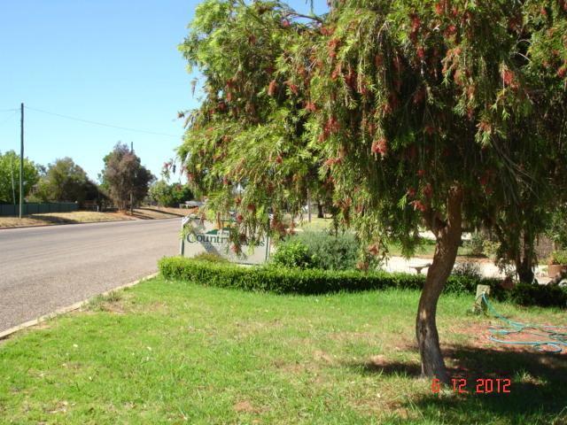 Tooleybuc Country Roads Motor Inn ภายนอก รูปภาพ